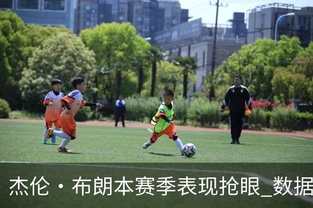 杰伦·布朗本赛季表现抢眼 数据亮眼助力球队